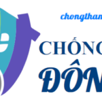 Chống Thấm Đông Đô – Đơn vị thi công chống thấm dột tận gốc