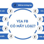 Chuyên Mua Via: Nơi Tìm Kiếm Và Mua Via Chất Lượng Nhất