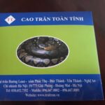 THÔNG TIN VỀ TRẠI TRĂN HƯỞNG LOAN CUNG CẤP CAO TRĂN MIỀN BẮC