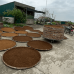 Thuốc Lào Tân Phát – Thuốc Lào Thanh Hóa Ngon Nhất: Tinh hoa đất trời xứ Thanh