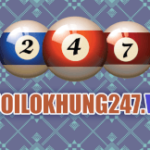 Giới thiệu về nuôi lô khung 247 VIP