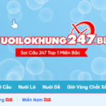 THÔNG TIN VỀ NUÔI LÔ KHUNG 247 BLOG – CAO THỦ SOI CẦU 247 RỒNG BẠCH KIM CHÍNH XÁC 100