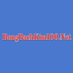 Rồng Bạch Kim 100 – Trải Nghiệm Soi Cầu Không Giới Hạn